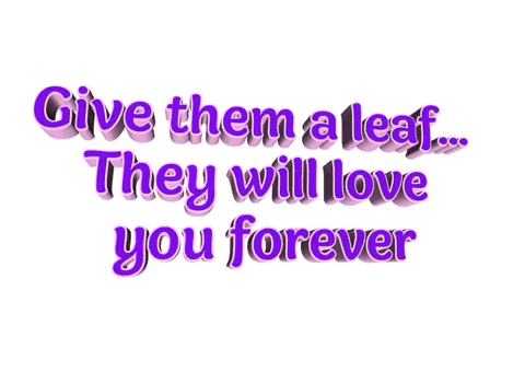 Text Word GIF by AnimatedText