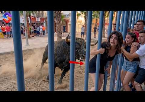 Most BRUTAL ANIMAL ATTACKS Caught on Camera – Best of Month #3