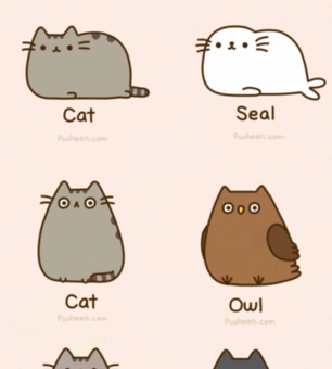 cat GIF by Pusheen