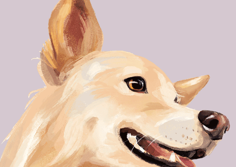 Love Dogs International Dog Day GIF by puppytales