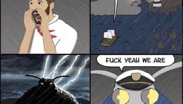 Navigation is optional