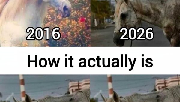 Memories often lie to you