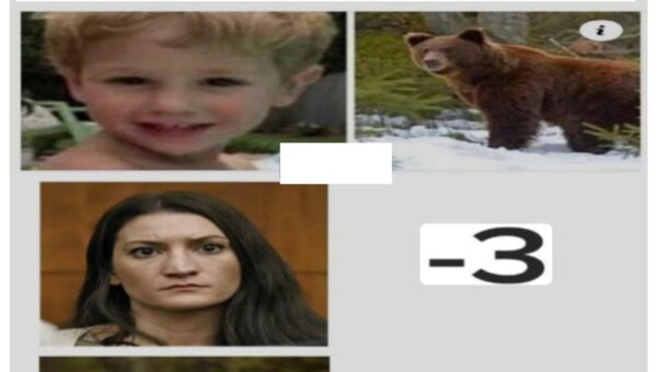 The bear was more human