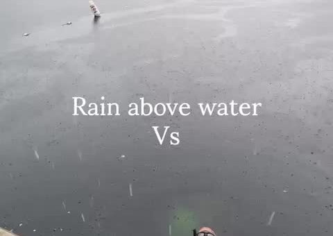 I wonder if fish like the rain