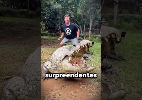 Momentos Mais Incríveis com Animais Capturados por Câmeras | Ep.25
