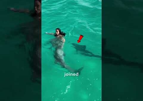 Incredible Animal Moments Caught on Camera