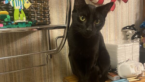HAPPY CATURDAY!!!
