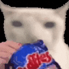 Cat Eating