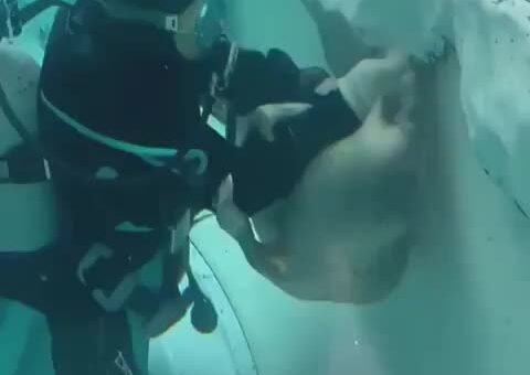 When the job requires zero seals
