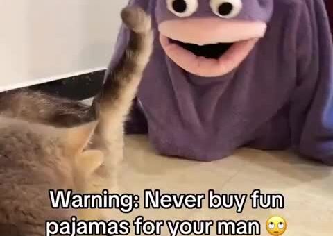 Nom nom