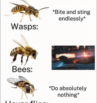 Bees will die after sting