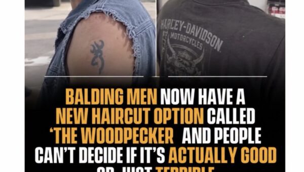 The woodpecker