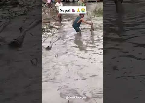Pray for Nepal 🇳🇵🙏🇳🇵#shorts #shortvideo #shortsfeed #nepal #nepali #disaster