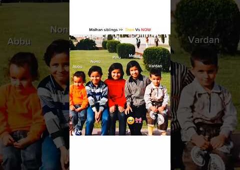 Malhan Siblings then vs now 🥹🧿 #malhanfamily #fukrainsaan #triggardinsaan #trending