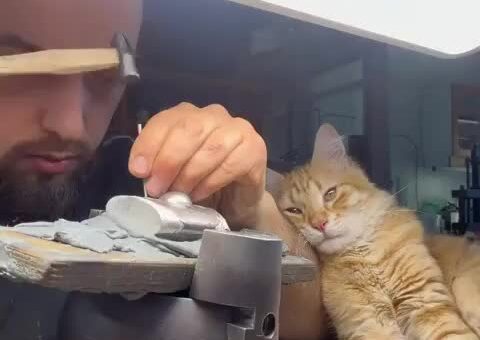Pawtner in Crime