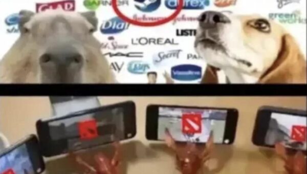 Companies that test on animals… wait