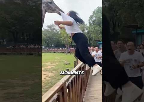 Incredible animal movement caught on camera that nobody could believe 🎣🦅🐙 #shorts