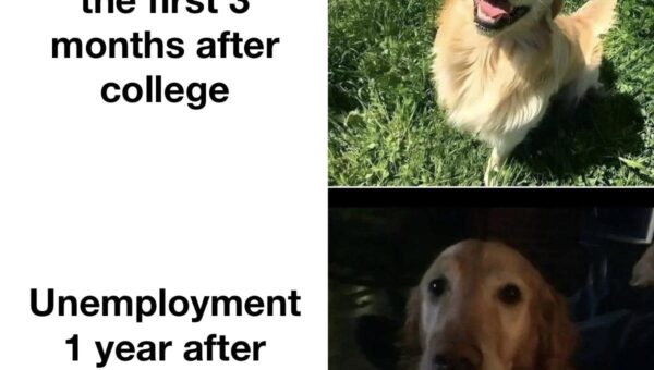 This sucks
