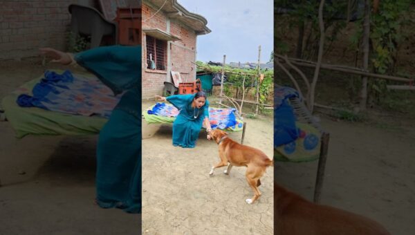 Saari duniya jalaa dunga 😭 #shorts #shortvideo #viralvideo #status #viralshorts #viral