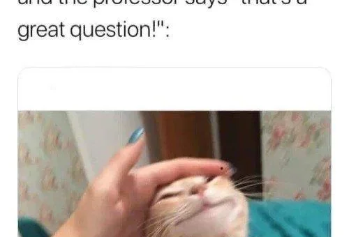 That’s a Great Question!