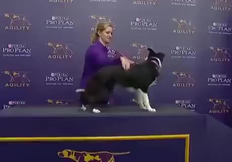 Bro’s got more skill than my inlaws