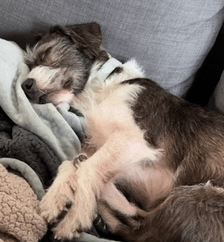 Work From Home Mondays GIF by Mystery