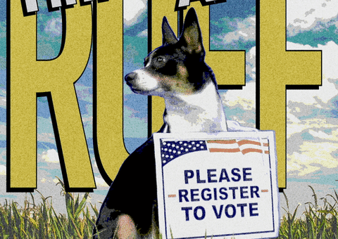Voting Rights GIF by #GoVote
