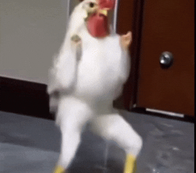 Dog Dancing