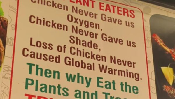 Eat guilt Free
