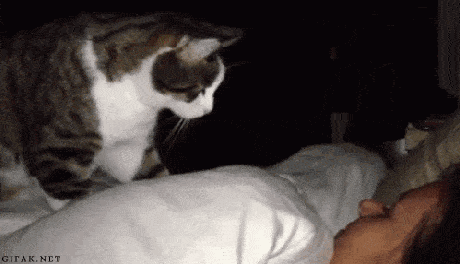 Tapping Wake Up