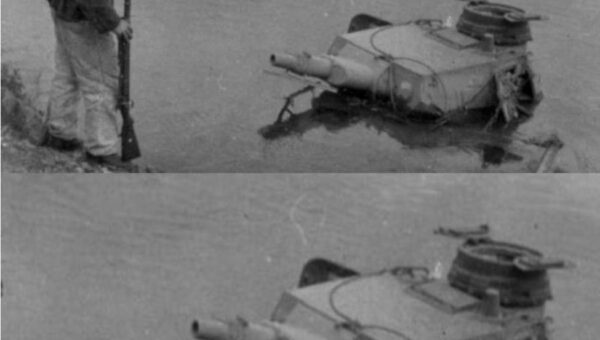 Panzer of the lake