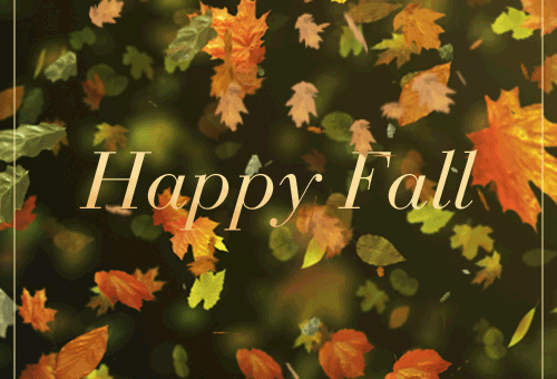 fall autumn