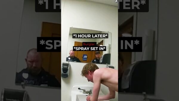Cops Smile As Cocky Burglar Gets Instant Karma #cops #bodycam #police