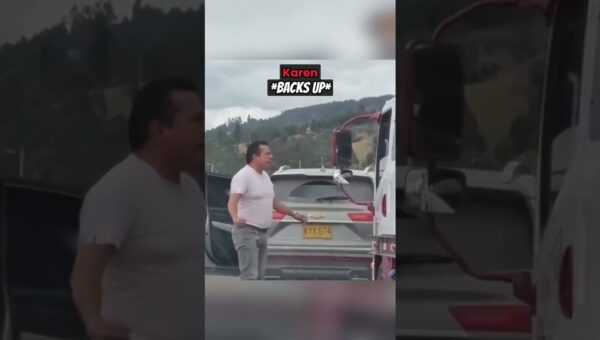Crazy Karen Gets Instant Karma After Trying To Assault Driver #shorts