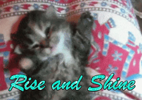 Good Morning GIF by MOODMAN