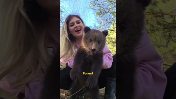 The Most Incredible Animal Moments Ever Caught on Camera Ep.14