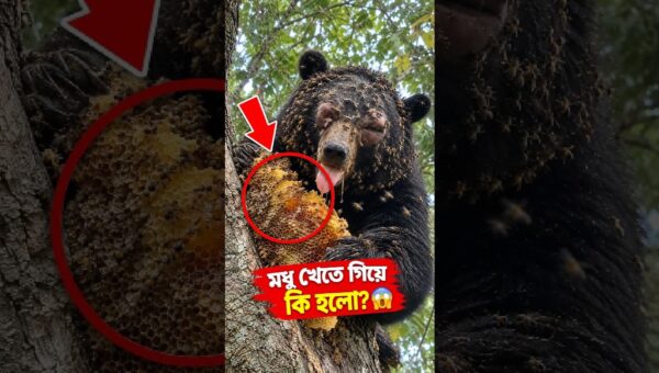 The Most Unexpected Animal Moments Caught on Camera 😱 Part-5