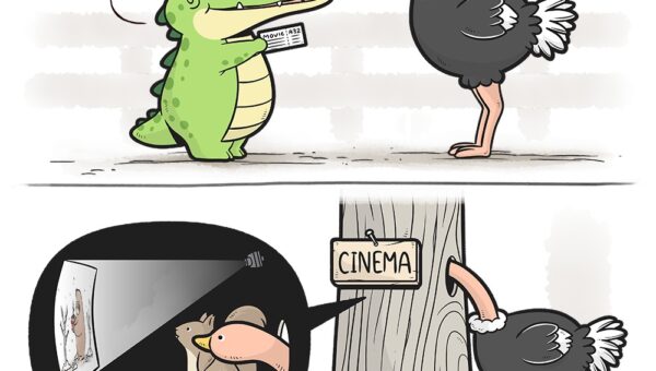 Buddy Gator – Cinema