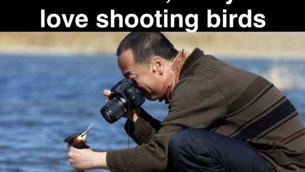 Trying my best to be a wildlife photographer