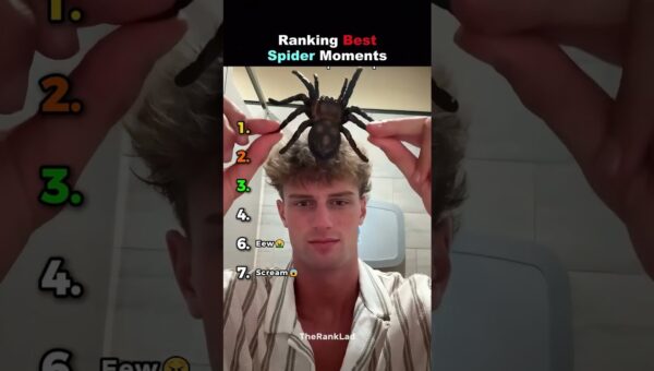 Ranking Best Spider Moments