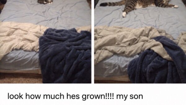 It grew