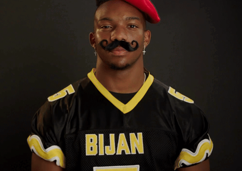 Atlanta Falcons Football GIF by Bijan Mustardson