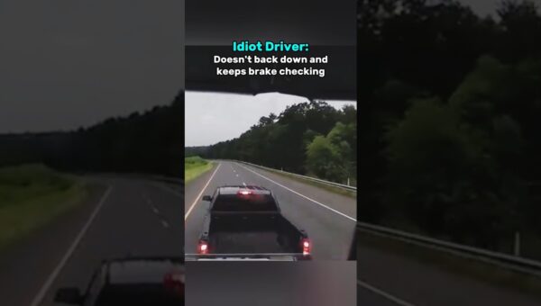 Brake Check On Semi Truck Goes Wrong!