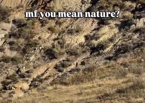 Nature