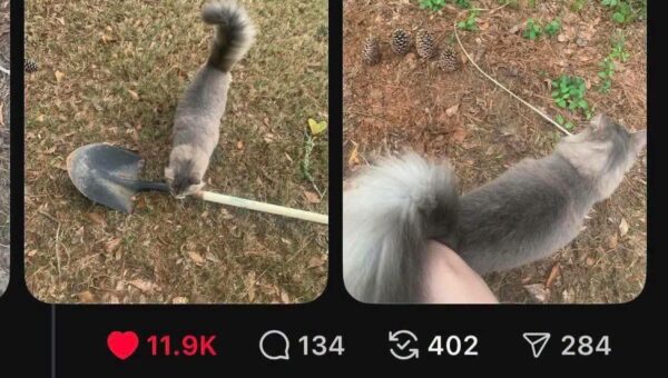 Paying respects