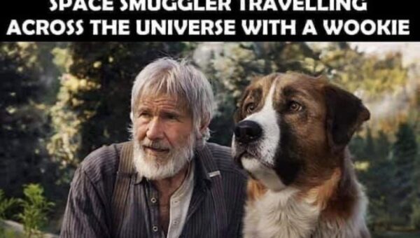 Bro really thought he was Han Solo