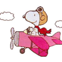 plane flying