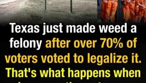 Privatized prisons were unconstitutional until Reagan