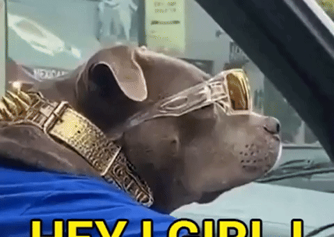 Happy Hey Girl GIF by Tikivideo