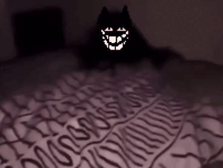 Cat Friend